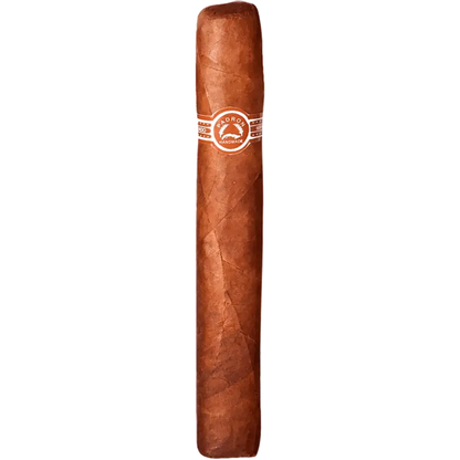 Padron Series 7000 Natural Single Cigar