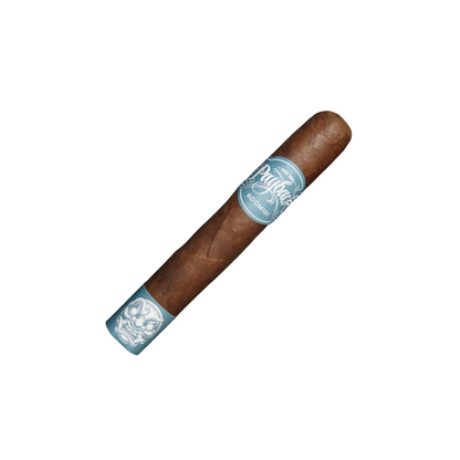 Room 101 Payback Nicaragua Toro Single Cigar